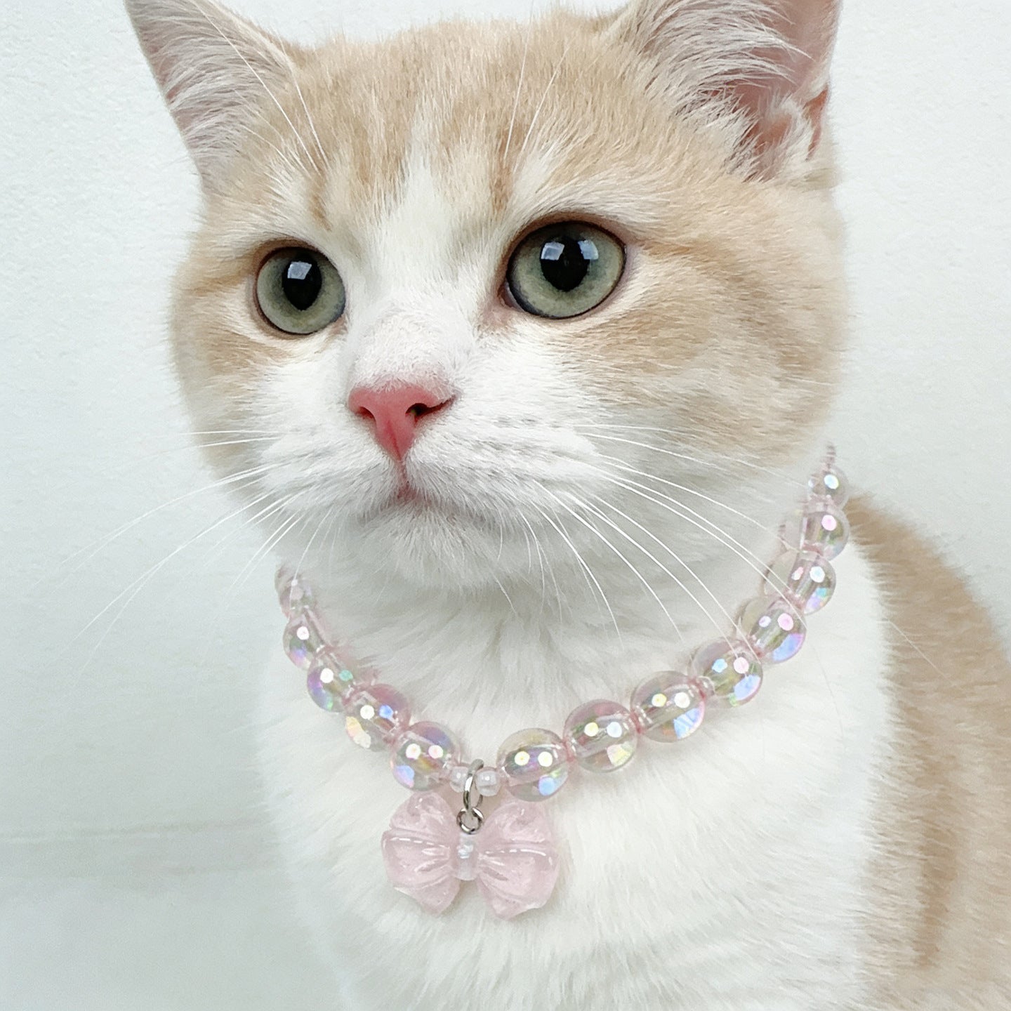 Bow Charm Pet Beaded Necklace