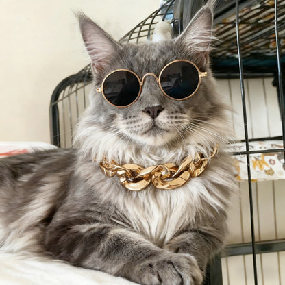 Chunky Pet Cuban Chain