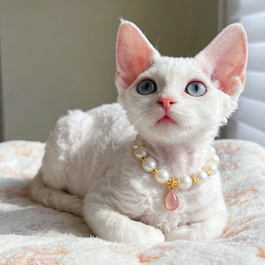 Pet Pearl Drop Necklace