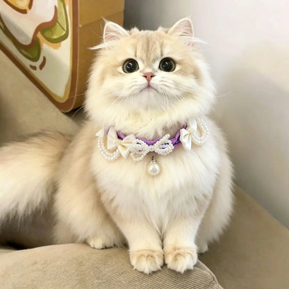 Bow & Pearl Pet Collar