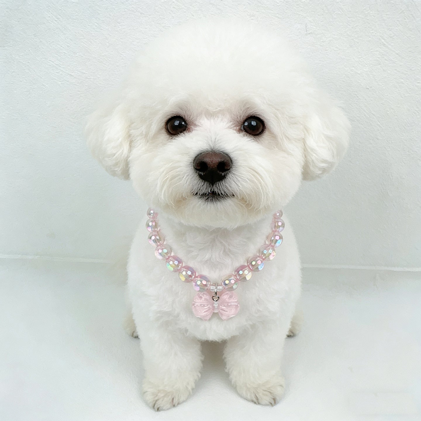 Bow Charm Pet Beaded Necklace