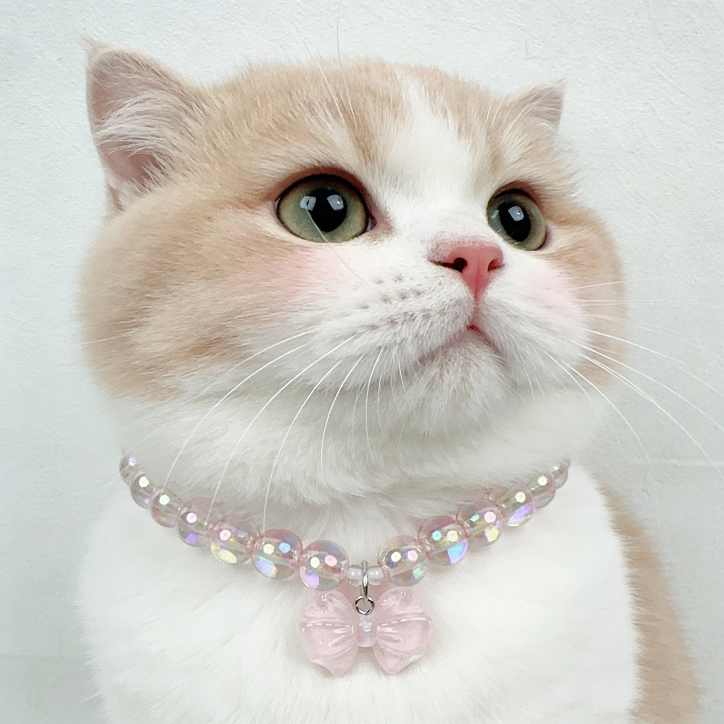 Bow Charm Pet Beaded Necklace